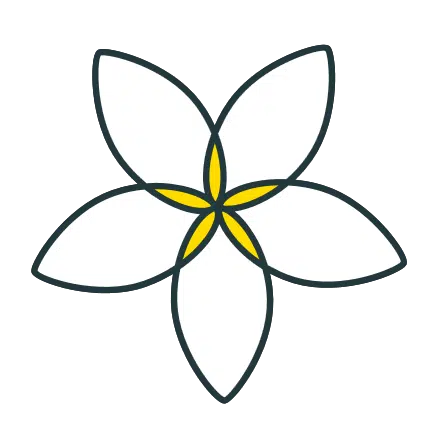 mayflower-flower-art